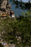 Taktsang Palphug Monastery ( Tiger's Nest )