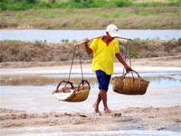 Salt Flats Kampot Cambodia 2022