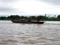 Flooded Forest upper Mekong River 2022