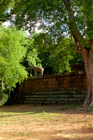 Mebon Temple Siem Reap