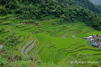 2011Banaue Rice Terraces